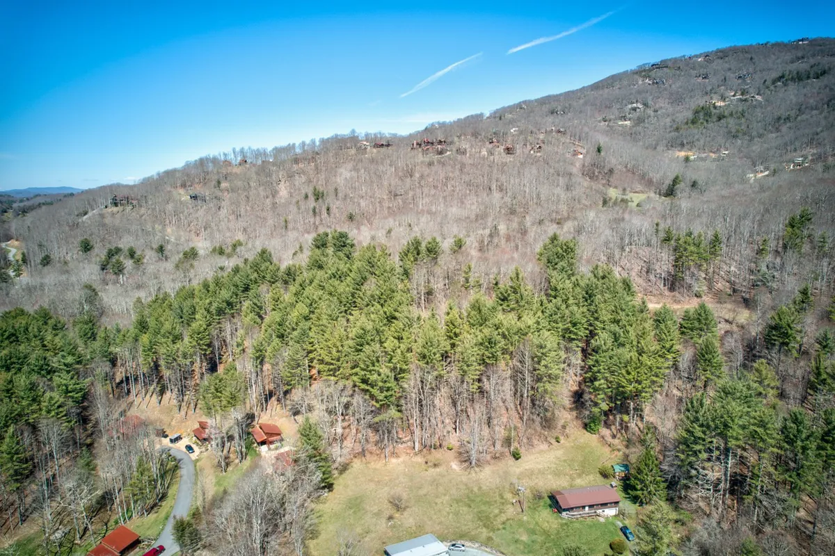 This view image captures dense tree coverage, an open grassy area, a winding road, and distant hills, suggesting a sense of vastness and accessible wilderness. The scene is bathed in natural light, evoking the excitement of outdoor exploration and the tranquility of the surrounding mountains.